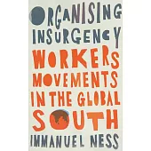 Organizing Insurgency: Workers’’ Movements in the Global South