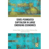 State-Permeated Capitalism in Large Emerging Economies