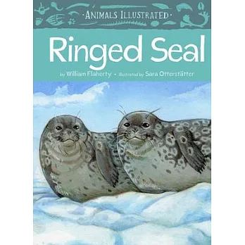 Animals Illustrated: Ringed Seal