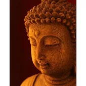 Buddhism and Conflict