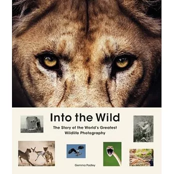 Into the Wild: The Story of Wildlife Photography