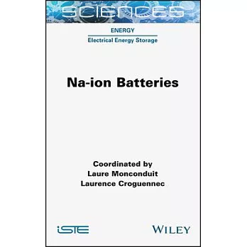 Na-Ion Batteries