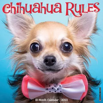 Chihuahua Rules 2022 Wall Calendar