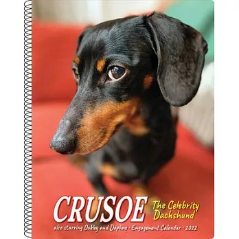 Crusoe the Celebrity Dachshund 2022 Engagement Calendar