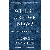 Where Are We Now?: The Epidemic as Politics