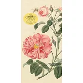John Derian Paper Goods: Everything Roses Notepad