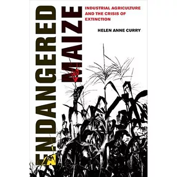 Endangered Maize: Industrial Agriculture and the Crisis of Extinction