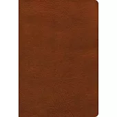 NASB Super Giant Print Reference Bible, Burnt Sienna Leathertouch