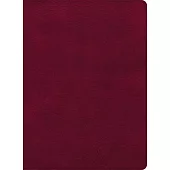 CSB Holy Land Illustrated Bible, Burgundy Leathertouch, Indexed