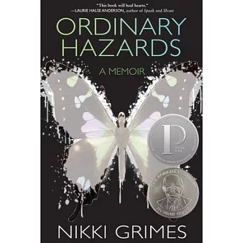 Ordinary hazards : a memoir
