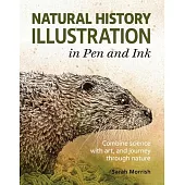 Natural History Illustration in Pen and Ink