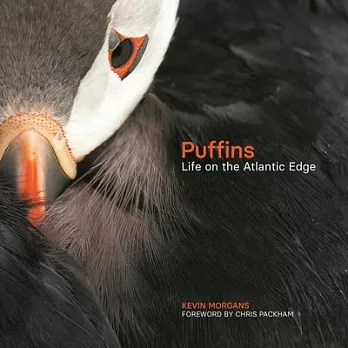 Puffins: Life on the Atlantic Edge