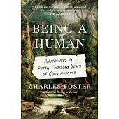 Being a Human: Adventures in Forty Thousand Years of Consciousness