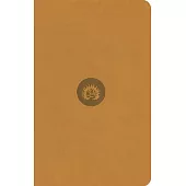 ESV Reformation Study Bible, Student Edition - Marigold, Leather-Like