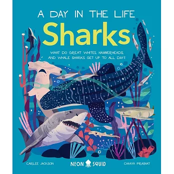 Sharks (a Day in the Life): What Do Great Whites, Hammerheads, and Whale Sharks Get Up to All Day?