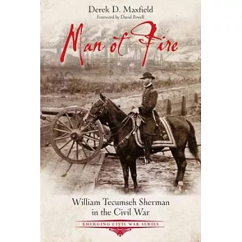 Man of Fire: William Tecumseh Sherman in the Civil War