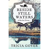 Beside Still Waters: A Big Sky Novel