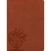 CSB Experiencing God Bible, Burnt Sienna Leathertouch