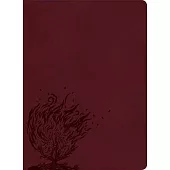 CSB Experiencing God Bible, Burgundy Leathertouch, Indexed