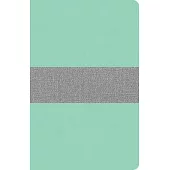 CSB Thinline Reference Bible, Mint/Gray Leathertouch