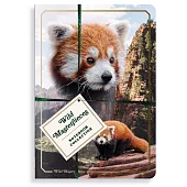 Wild Masterpieces Notebook Collection