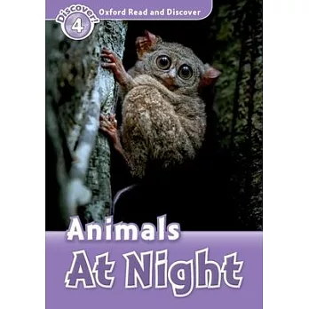 Animals at night
