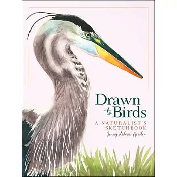 Drawn to Birds: A Naturalist’’s Sketchbook