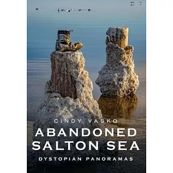 Abandoned Salton Sea: Dystopian Panoramas