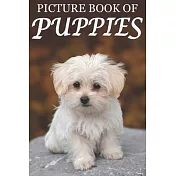 Picture Book of Puppies: Picture Book of Puppies: For Seniors with Dementia [Cute Picture Books]