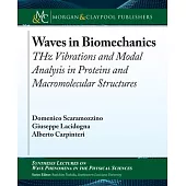 Waves in Biomechanics: THz Vibrations and Modal Analysis in Proteins and Macromolecular Structures