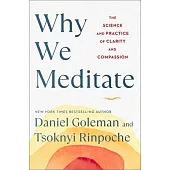 Why We Meditate: The Science and Practice of Clarity and Compassion