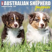 Just Australian Shepherd Puppies 2023 Wall Calendar