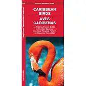 Caribbean Birds: A Waterproof Folding Guide to Familiar Species