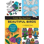 Color-By-Number Beautiful Birds: A Colorful Relaxation Activity Book