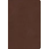 CSB Rainbow Study Bible, Brown Leathertouch