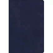 CSB Rainbow Study Bible, Navy Leathertouch, Indexed