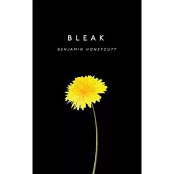Bleak: A Story of Bullying, Rage and Survival