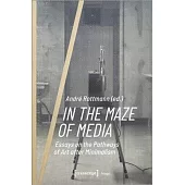 In the Maze of Media: Essays on the Pathways of Art After Minimalism