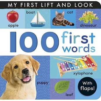 100 First Words: My First Lift and Look