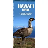 Hawaii Birds: A Folding Pocket Guide to Familiar Species