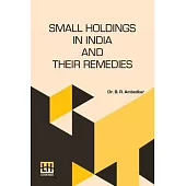 Small Holdings In India And Their Remedies