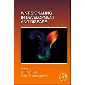 Wnt Signaling in Development and Disease: Volume 153