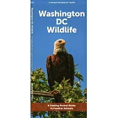 Washington DC Wildlife: A Folding Pocket Guide to Familiar Animals