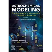 Astrochemical Modelling: Practical Aspects of Microphysics in Numerical Simulations
