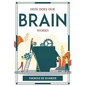 How Does Our Brain Works