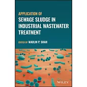 Application of Sewage Sludge in Industrial Wastewater Treatment