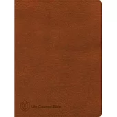 CSB Life Counsel Bible, Burnt Sienna Leathertouch, Indexed: Practical Wisdom for All of Life