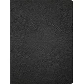 CSB Life Counsel Bible, Genuine Leather, Indexed: Practical Wisdom for All of Life