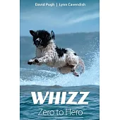 Whizz: Zero to Hero