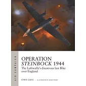 Operation Steinbock 1944: The Luftwaffe’s Disastrous Last Blitz Over England